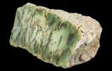 Polished Dendritic Opal (Moss Opal) - Australia #65409-1